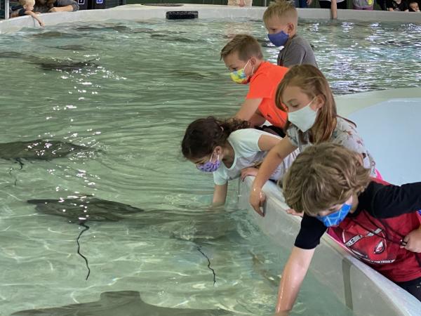 Kids at Stingray Bay at the Columbus Zoo