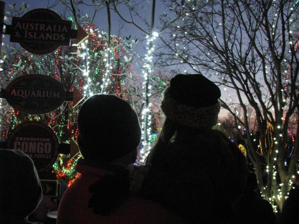 Father holiding daughter looking at the light display at the Columbus Zoo and Aquarium