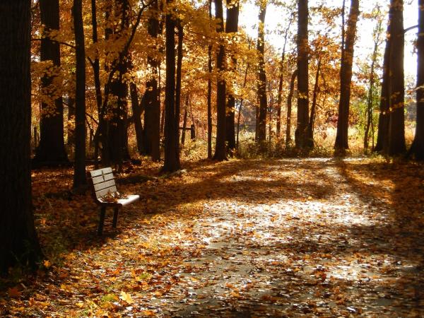 Glacier Ridge Metro Park