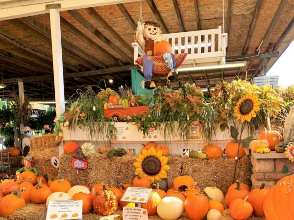 Oakland Nursery Fall Festival