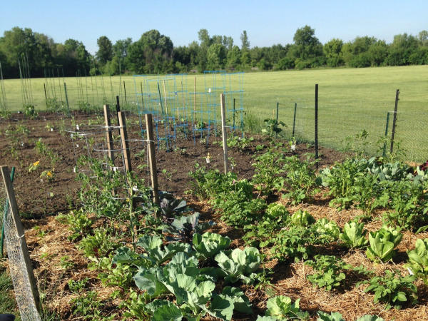 Dublin Community Garden