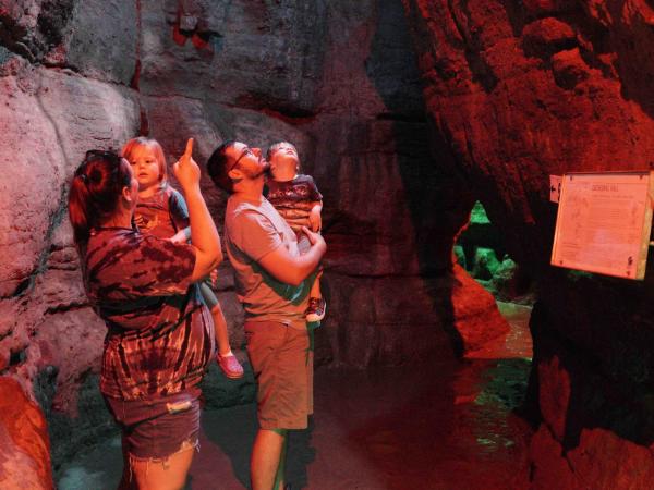 Olentangy Caverns Family