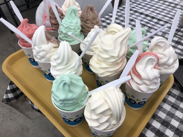 Tray of Ice Cream at the Elkhart County 4-H Fair Food
