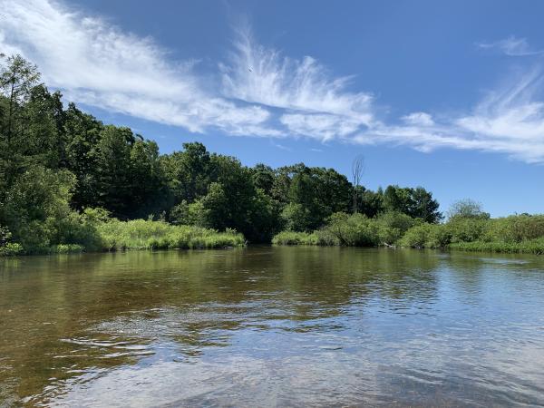 Photo of a lake surrounded by green trees in Elkhart County, In