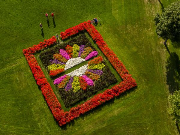 Aerial view of a quilt garden