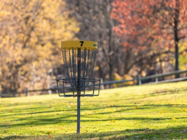 disc golf goal basket with a beautiful background of fall trees