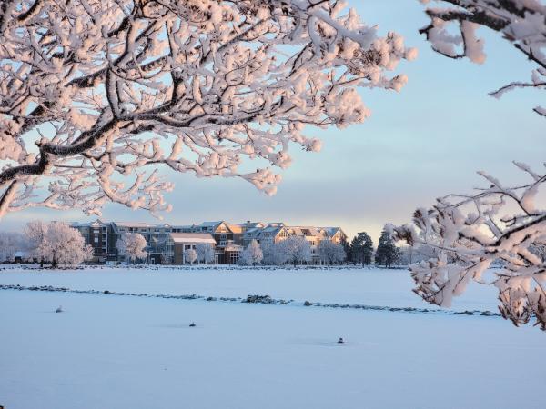 snow covered trees overlooking lake and buildings