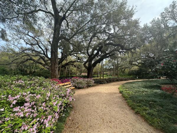 Flowers and trees in bloom at Washington Oaks Gardens State Park, located off of A1A Scenic Byway in Palm Coast and the Flagler Beaches. A beautiful Florida State Park with hiking and biking trails.
