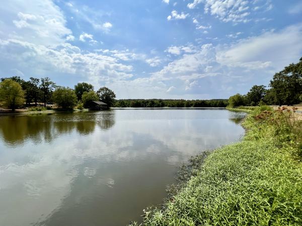 A wide angle of Wells Lake on a sunny day at Janet Huckabee Nature Center, Fort Smith, Arkansas.
