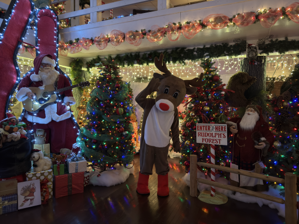 Rudolph the Red Nosed Reindeer says hello from Fort Smith's Winter Wonderland.