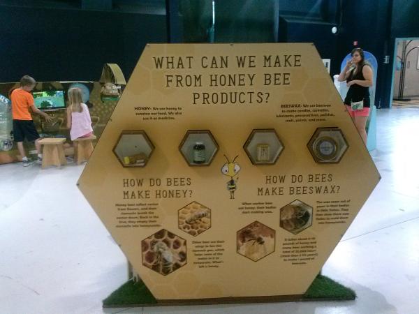 Honey Bee Products - Science Central