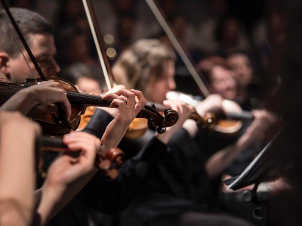 Violin players play their instruments during concert