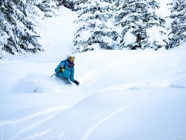 Alpine Touring, Backcountry Skiing