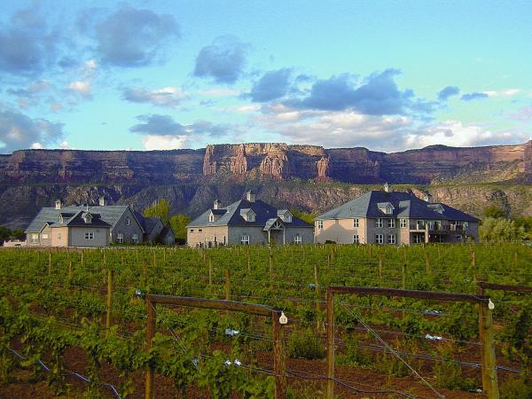 Two Rivers Winery with Colorado National Monument in Background