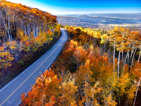 Grand Mesa Scenic & Historic Byway