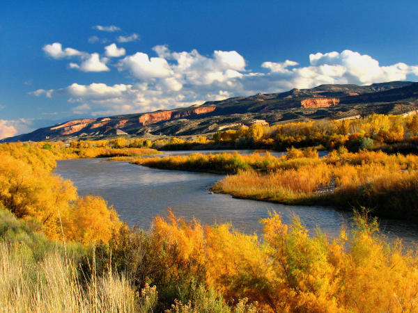 View of the Colorado River surrounded by fall colors with Colorado National Monument