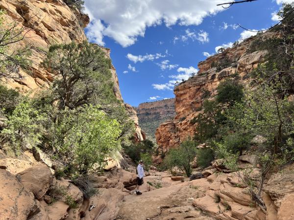 Rough Canyon