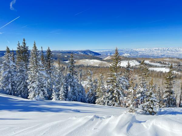 Scenic view of snow covered trees and the plateau of the Grand Mesa