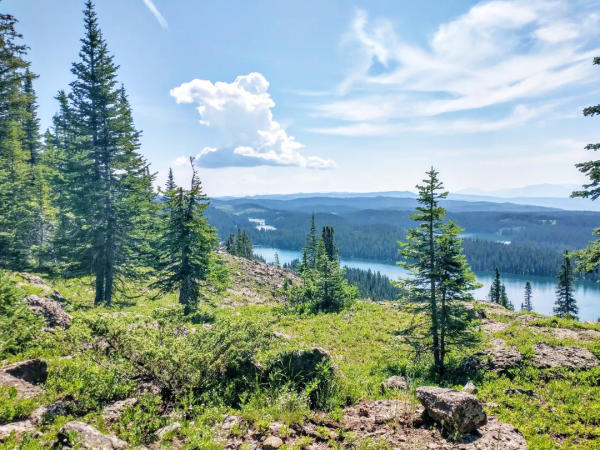 View from County Line Trail on the Grand Mesa