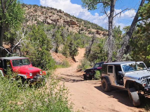 Jeeps on Trails