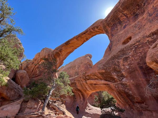 Arches in Rattlesnake Canyon