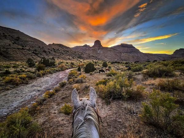 Riding a Horse during Sunset in Little Book Cliffs Wild Horse Range