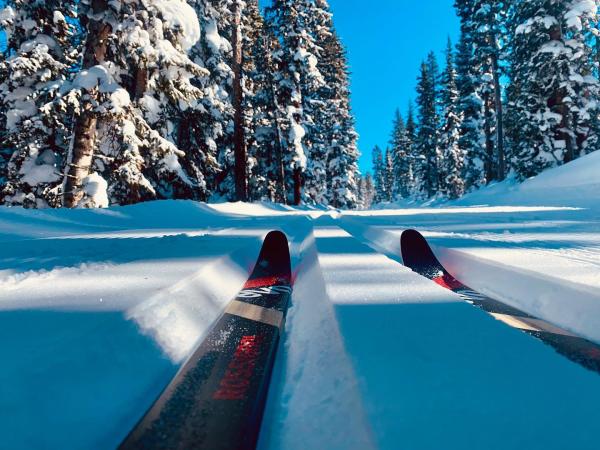 Cross Country Skis on the Grand Mesa