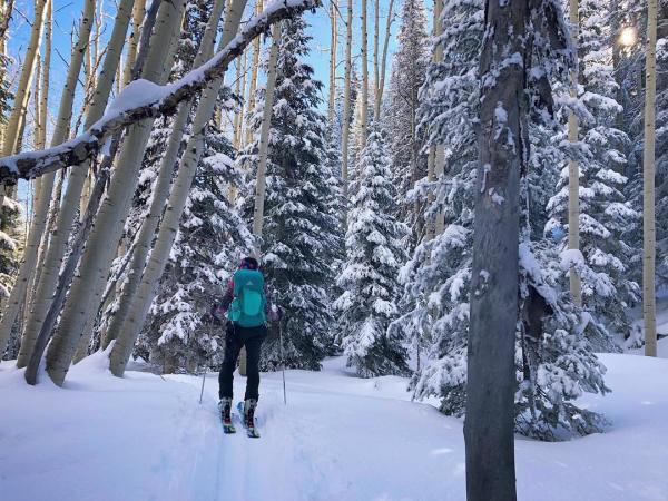 Woman Back Country Skiing on Grand Mesa