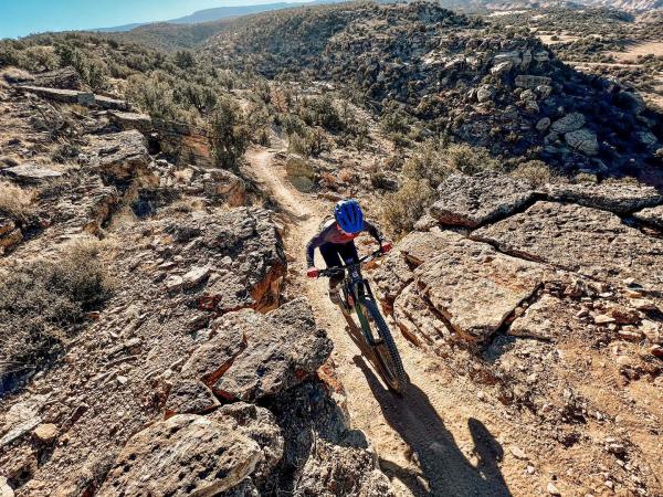 Person on Mountain Bike in the Winter on a Dry Trail