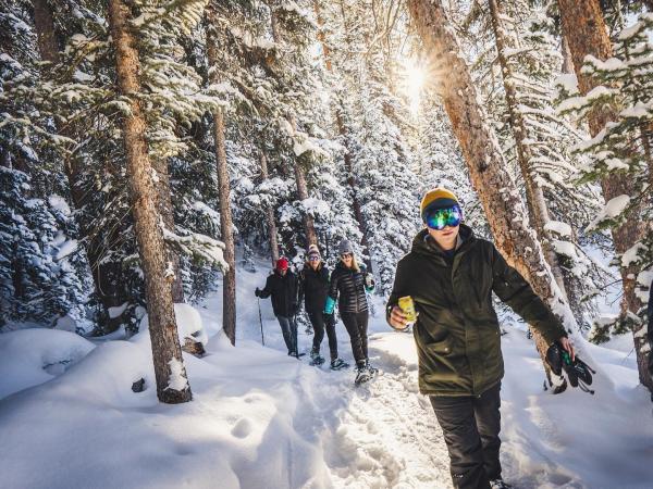 Four people snowshoeing through the Trees