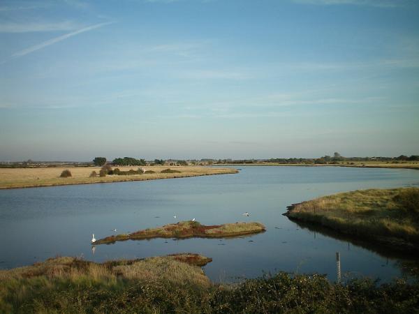 Thorney Island