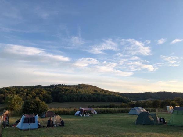 Bignor Farms Camping
