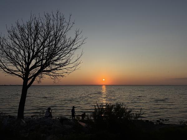 Sunset at Communiversity Park