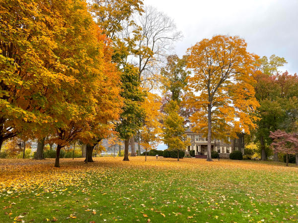 Fort Hunter Fall