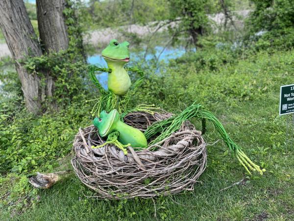 Wildwood Spring