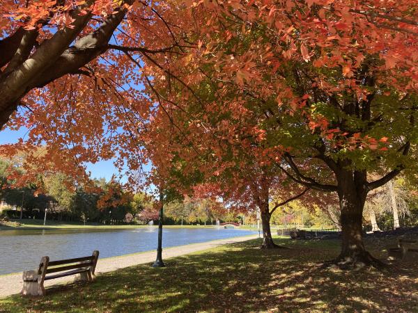 HBG Fall Italian Lake