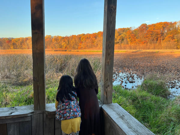 Wildwood Park Fall