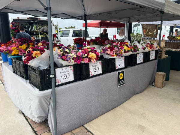 Downtown Hickory Farmers Market - flowers