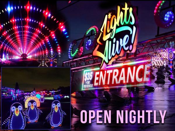 Lights Alive!