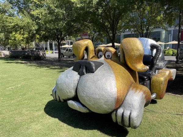 Discovery Green - Rocket Dog