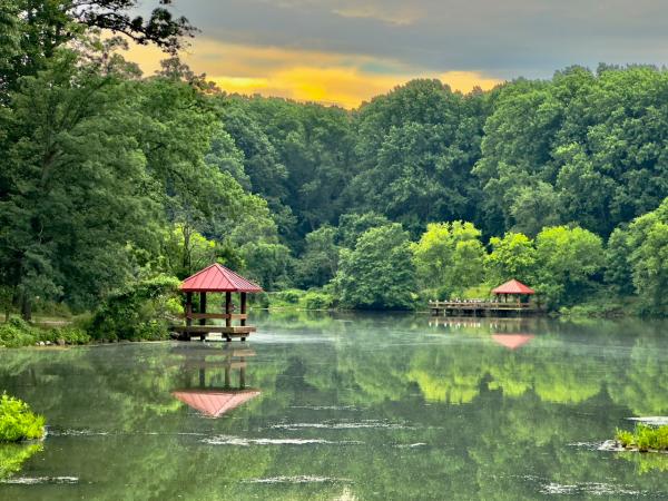 Lake Elkhorn - Columbia - 2025