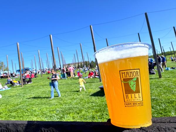 Manor Hill Brewing