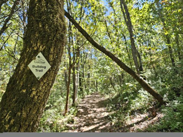 Chapman Mountain hiking trail