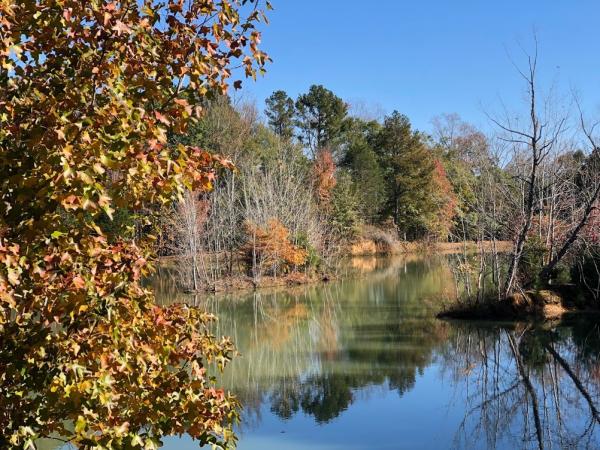 Fall Hays Nature Preserve & Goldsmith-Schiffman Wildlife Sanctuary