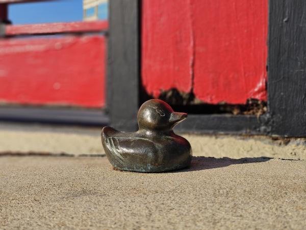 One of the CVB's ducks on the ground from our Lucky Duck Scavenger Hunt