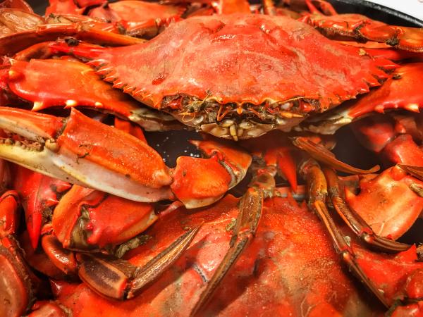 Crabs from Seafood Palace | Lake Charles Louisiana