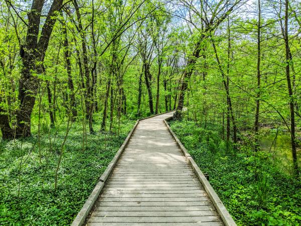McConnell Springs