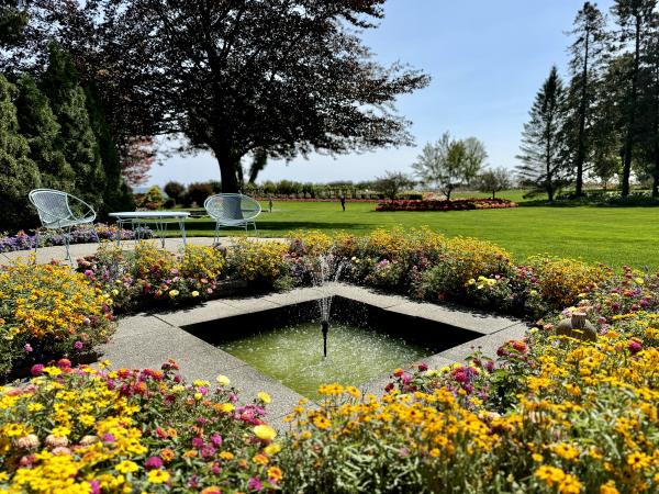 West of the Lake Gardens in Manitowoc fountain with yellow flowers