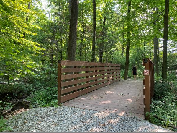 Camp Vits bridge in wooded area