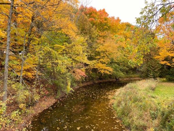 silver creek park fall colors by stream